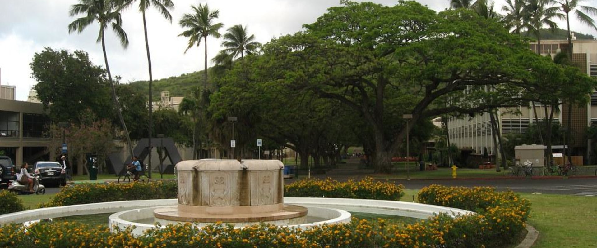 What is the Average Class Size at the University of Hawaii? A Comprehensive Guide